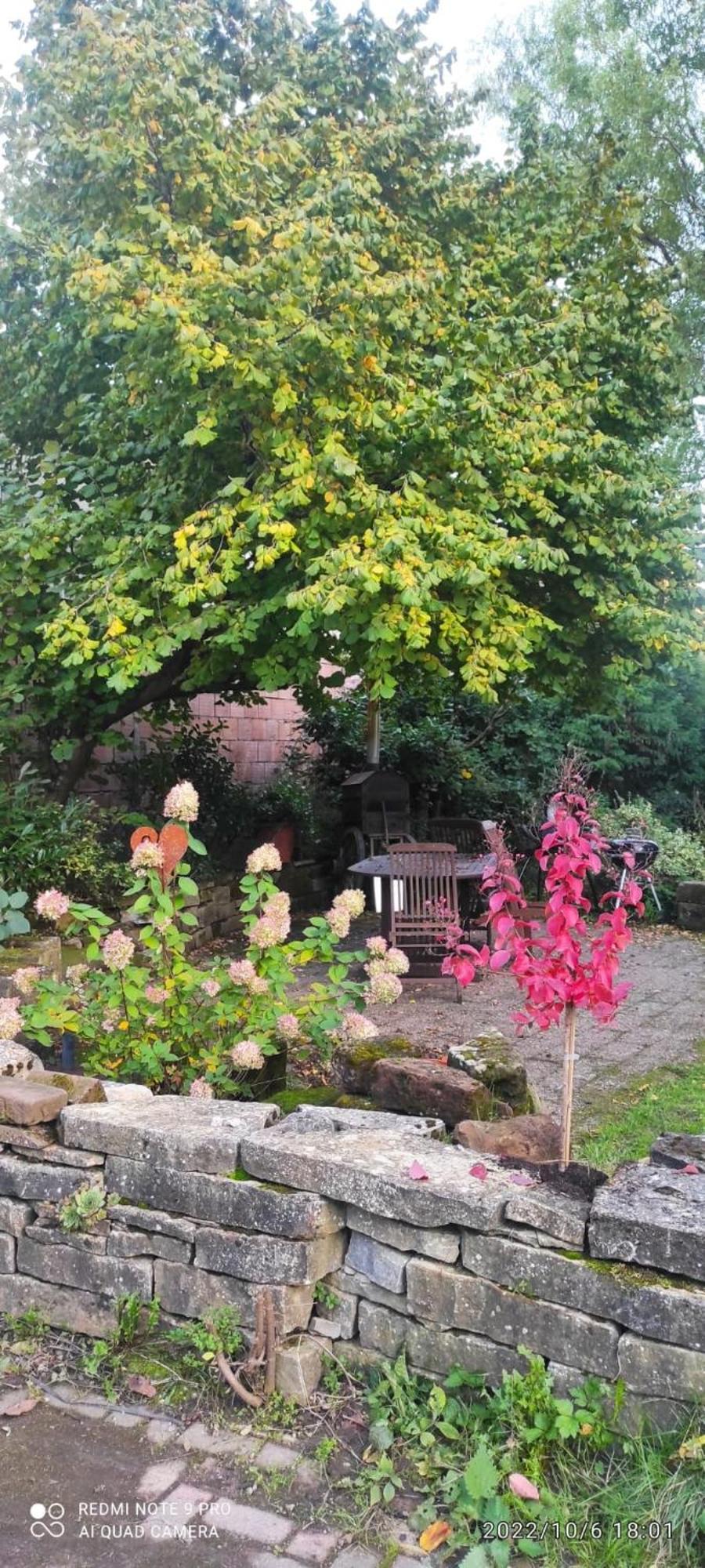 Langensoultzbach Gite Au Petit Ruisseau-Etage Et Combles-Maison Alsacienne 4 Personnes 4 Nuitees Minimum מראה חיצוני תמונה